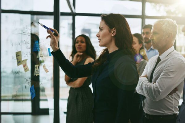 Leading the project planning and execution process